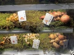 -滇野云南野生菌餐厅(陕西南路店)