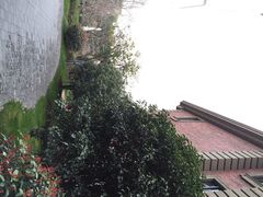 iphone_upload_pic-上海瑞金洲际酒店