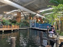 -南宫五洲植物乐园