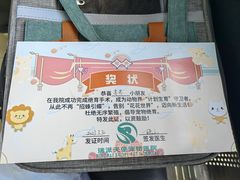 -瑞派天使宠物医院·神经外科·骨科·核磁(洛川中路店)