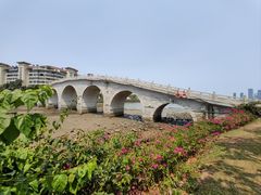 -万绿园