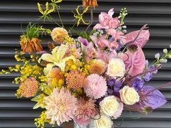 -BEAST野兽派(上海浦东嘉里城店)