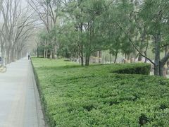 -元大都城垣遗址公园