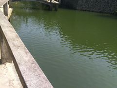 -大罗山风景区