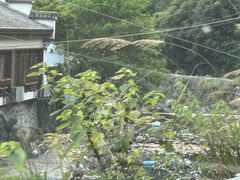 -东天目山风景区