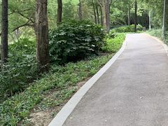 -美兰湖景区