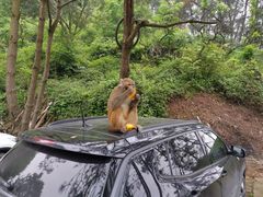 -重庆雨台山风景区