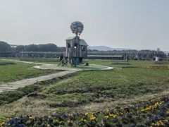 -苏州太湖西山岛开心农场