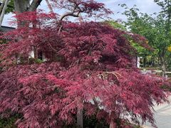 -雅达·阳羡溪山小镇中心