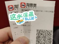 -武汉华夏国际影城(鲁广店)