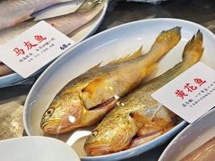 -陈鹏鹏潮汕菜(欢乐海岸 海边景观店)