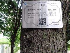 -花果园湿地公园