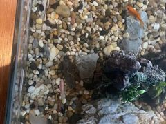 -新盈光·旗舰店(海曙苍松路店)