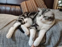 -长沙纹身·龙堂刺青·三土师傅的店