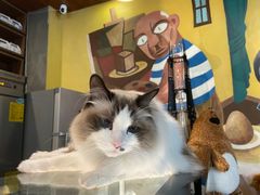 -咖法森林·咖啡  酒吧(天河店)