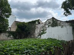 -绍兴鲁迅故里·沈园景区