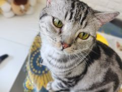 -平行世界·猫咖(首经贸店)