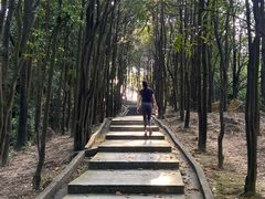 -火炉山森林公园