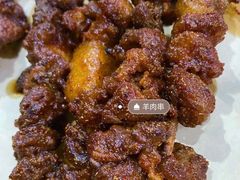 -高原第一家资格烤羊肉(玉林南路总店)