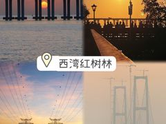 -宝安西湾红树林湿地公园
