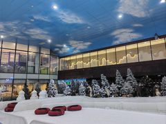 -世界之窗阿尔卑斯冰雪世界