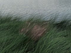 -羊山湖公园