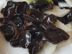 山药炒木耳-怡园饭店-餐厅(四望亭店)