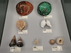 -天津古林古海岸遗迹博物馆