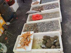 -青岛沙子口国家中心渔港