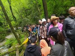 -牛背梁国家森林公园