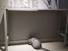 -Oasis绿洲银饰珍珠手作diy(壹方城店)