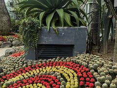 -南山植物园
