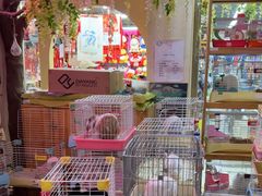 -宠物兔专门店(天丰利市场店)