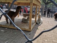 -长白岛森林公园