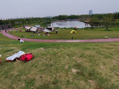 -春花秋色城市公园