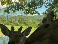 -杭州野生动物世界