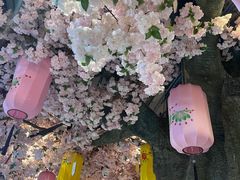 -正佳雨林生态植物园