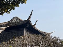 -梅园