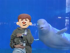 -泉城欧乐堡海洋极地世界