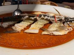 -丹江渔村(望京店)