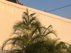 -Hello·生日蛋糕·下午茶·甜品台茶歇(瑞安东山店)