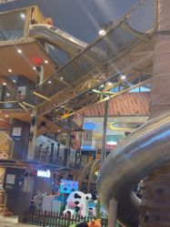 -卡通尼·Safari非洲探索乐园·生日会(金桥国际商业广场店)