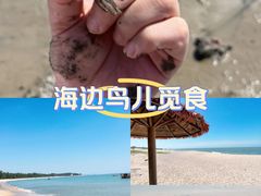 -湄洲岛