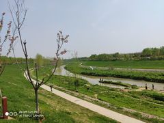 -洨河生态公园