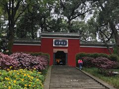 -子昂故里文化旅游区