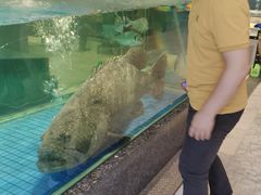 -聚福宝合苑食府(南头镇店)