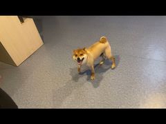 -博纳私人订制健身(中集美兰湖店)