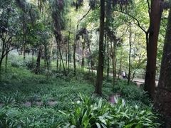 -青城山