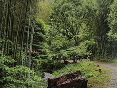 -黄公望隐居地