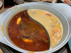 -青瓷火锅料理(西单大悦城店)